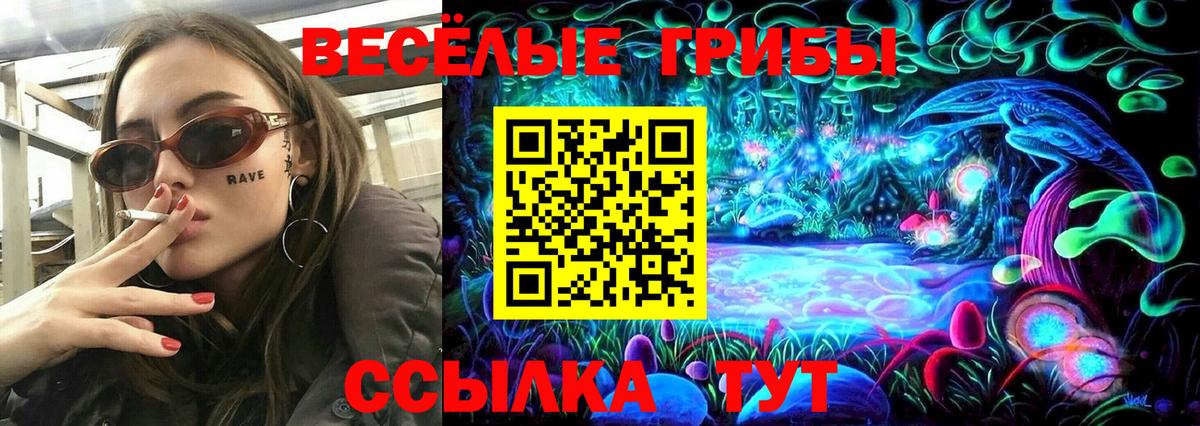 Псилоцибиновые грибы Psilocybine cubensis Калач-на-Дону