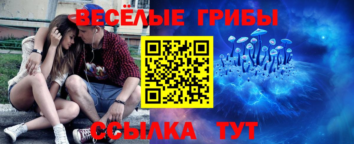 где можно купить   Вход с VPN  Галлюциногенные грибы Magic Shrooms  Калач-на-Дону  Галлюциногенные грибы Cubensis 